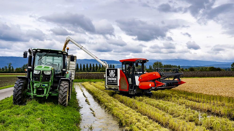 I fratelli Guillod si sono ispirati a quanto viene fatto all'estero.