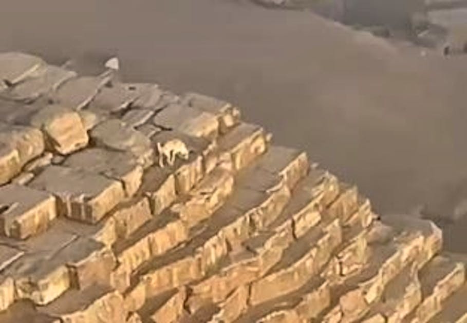 Ecco il video Un parapendista sorvola la piramide di Giza e vede sulla
