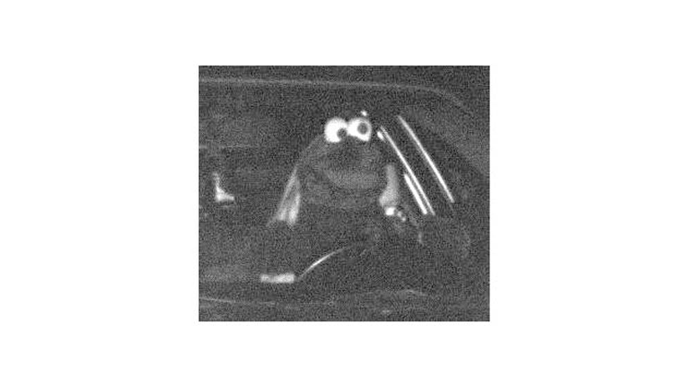 Driver remains unknown. Flashed 