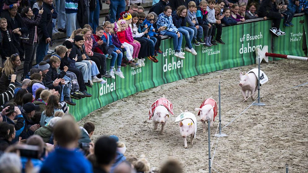 La grande fiera agricola si è svolta in un clima globalmente pacifico.