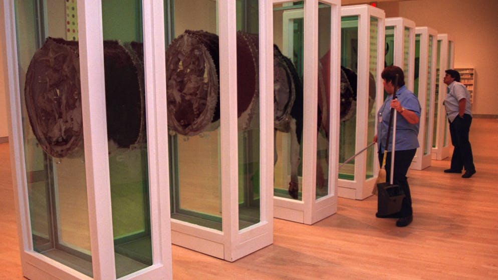 Lavori di manutenzione al Broocklyn Museum.