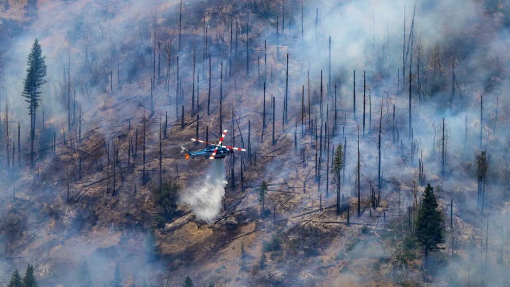 Ein Hubschrauber wirft Wasser zum Löschen auf das «Park Fire» in der Nähe der Ortschaft Butte Meadows, einen der grössten Waldbrände, die es jemals in Kalifornien gab.