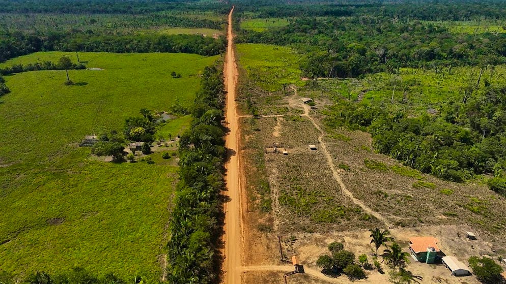 Deforestation in the Amazon promotes the spread of malaria.