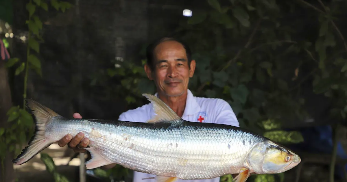Resurfaced: This fish was thought to be extinct for 20 years | blue News