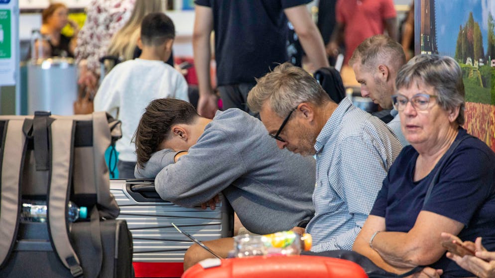 Der ganz normale Ferien-Horror. Tränen am Gate, Fertiggericht für 500 Euro und Ratten im Rustico