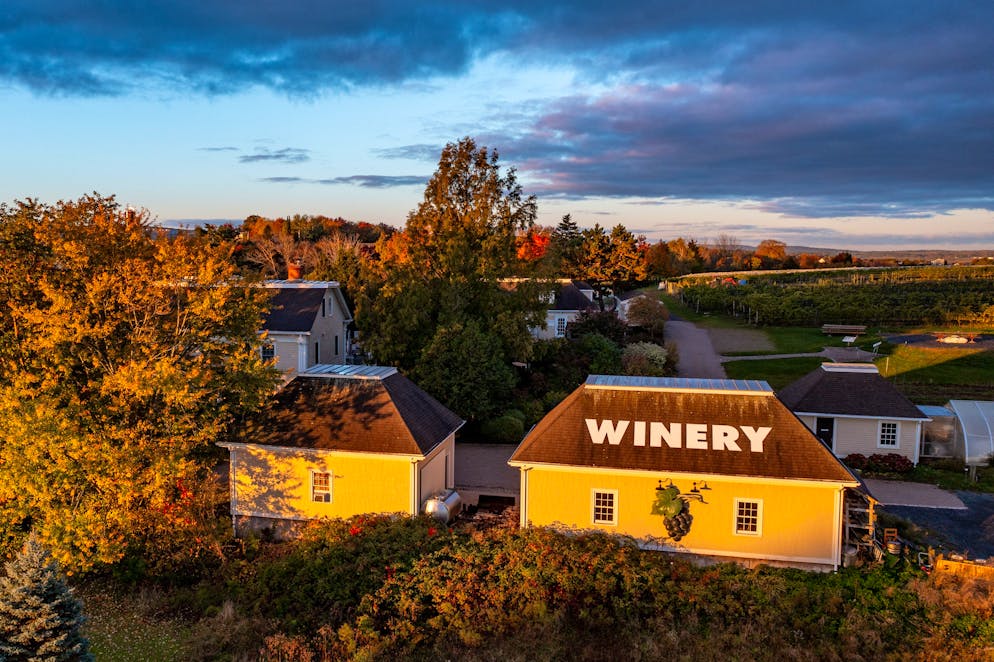 St. Gallerin lebt seit über 20 Jahren in Kanada. Laut Beatrice ist Nova Scotia noch eine sehr junge Weingegend. 