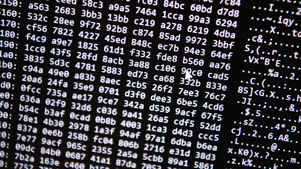 Cybersecurity-Unternehmen gehören zu den Gewinnern. 