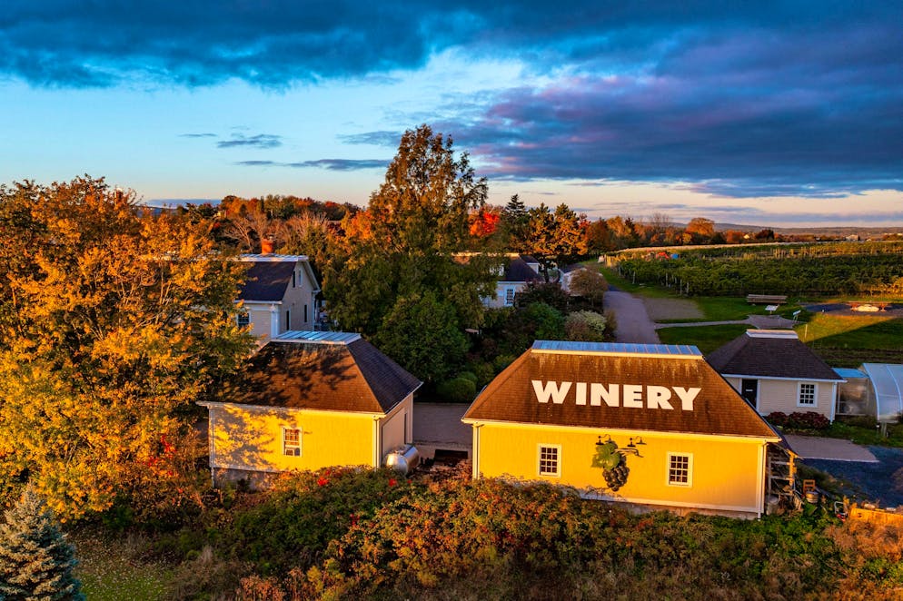 St. Gallen woman has lived in Canada for over 20 years. According to Beatrice, Nova Scotia is still a very young wine region.