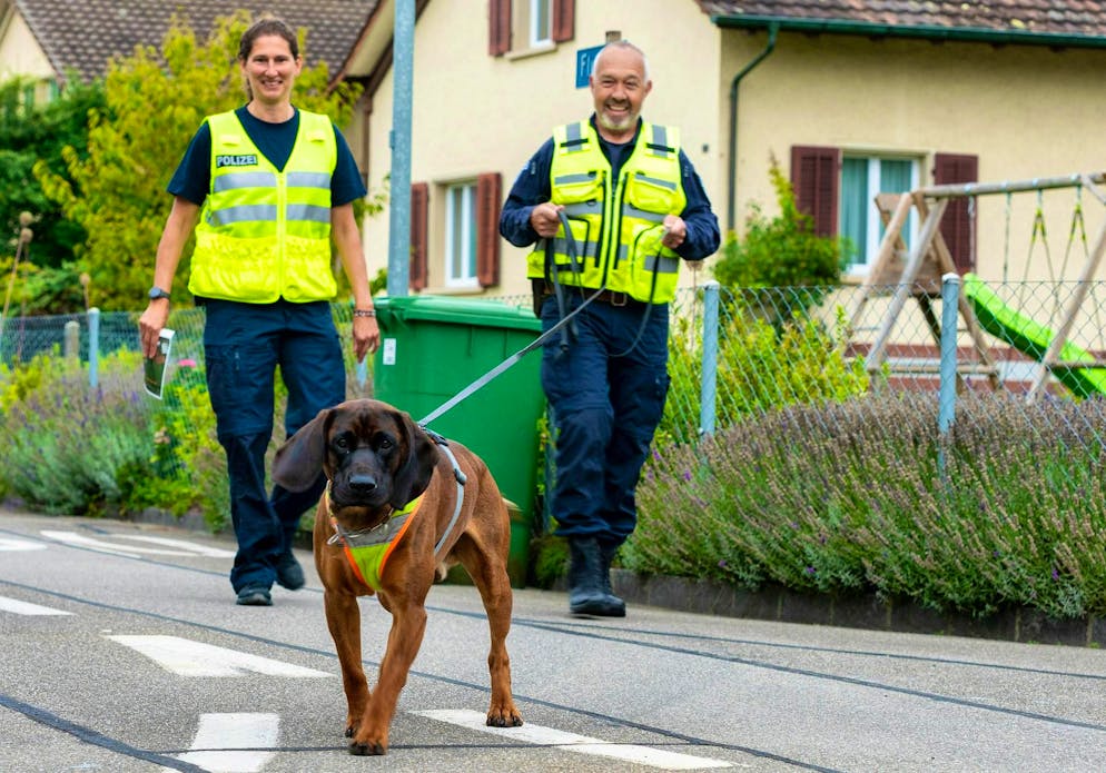 Il cane poliziotto Farouk durante l'addestramento in un quartiere residenziale.
