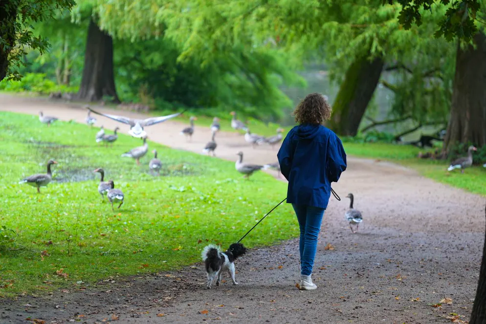 Stare in posizione eretta per lunghi periodi di tempo comporta anche dei rischi per la salute.