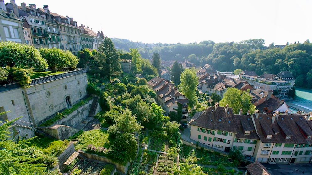 Der Gemeinderat von Bern will die Artenvielfalt in der Stadt erhalten. (Archivbild)