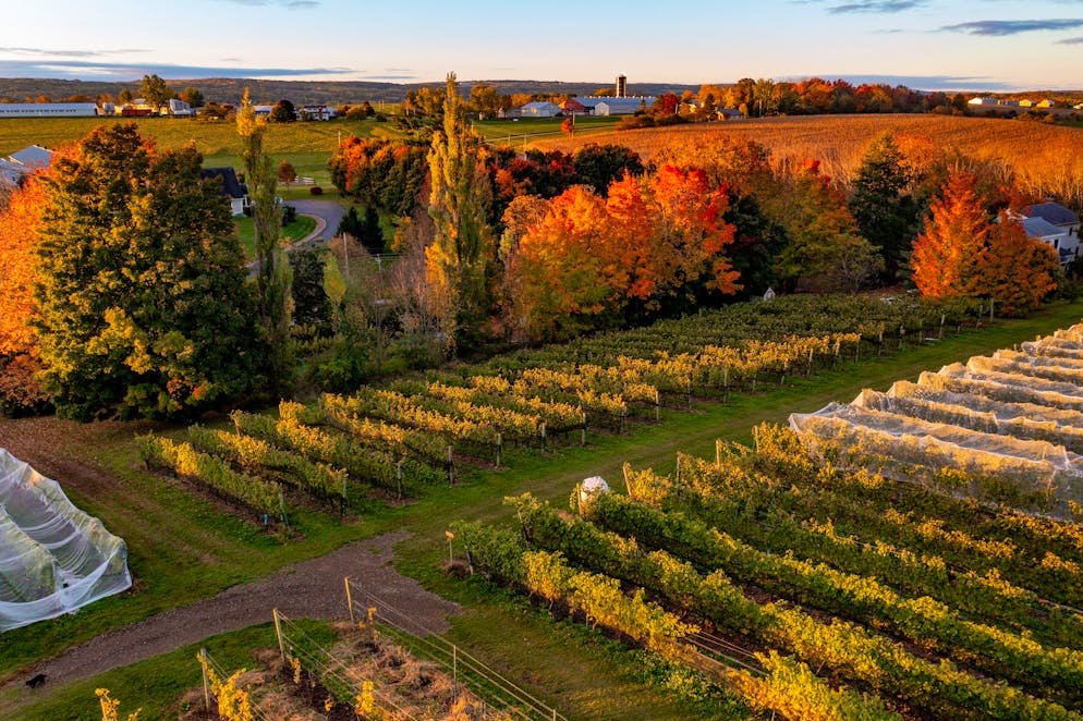 Unterwegs in der kanadischen Provinz: So schön ist Nova Scotia im Herbst. Dort betreibt die Schweizer Auswanderin zusammen mit ihrer Familie ein Weingut.