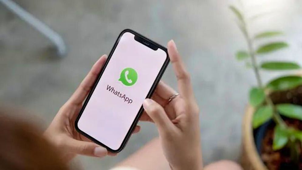 Neues Update. In WhatsApp kannst du deine Kontakte jetzt noch einfacher verwalten