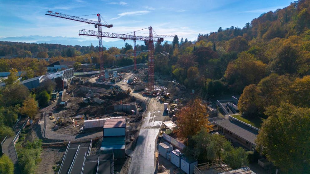 Der Bau der neuen Pantanal-Voliere im Zürcher Zoo steht aktuell still. 