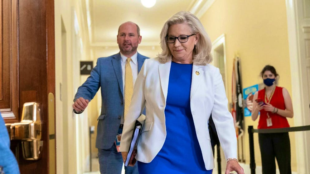 Stati Uniti. Frase shock di Trump sulla deputata Liz Cheney: «Bisognerebbe spararle»