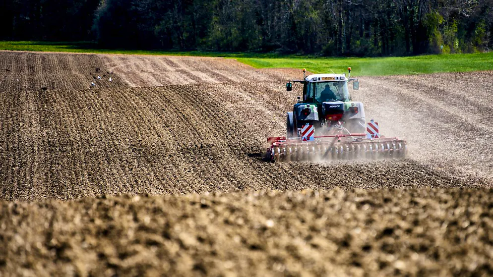 Sur les sites d'herbages exploités de manière intensive, des hausses de cuivre et de zinc sont constatées (illustration).