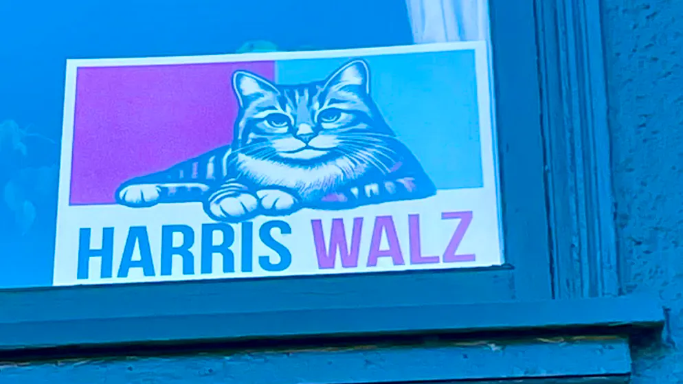 «Childless Cat Ladies»: Trump-Vizekandidat J. D. Vance arbeitet sich an einem alten Stereotyp ab – Harris-Anhänger*innen in San Francisco hängen es ins Fenster.