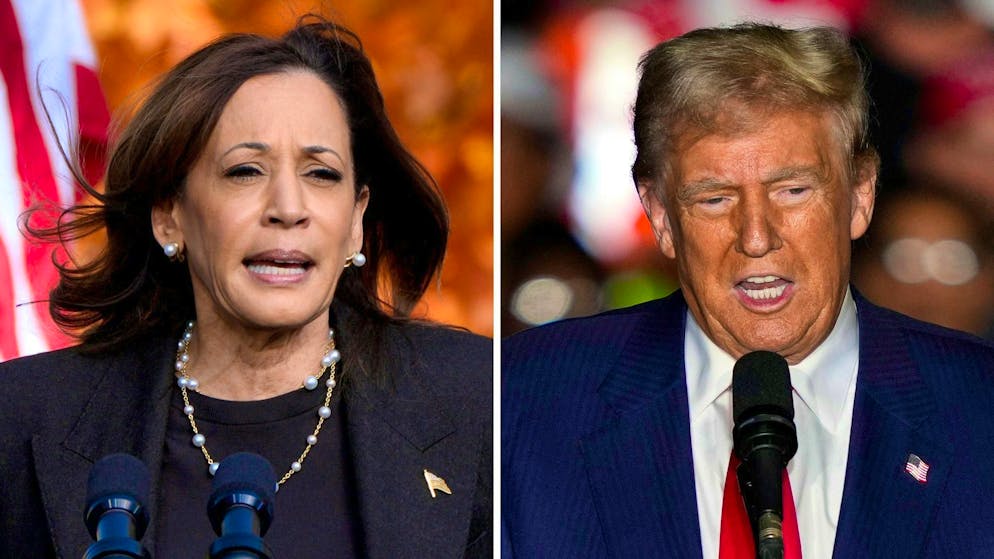 USA 2024. Quando sarà chiaro chi ha vinto le presidenziali USA? Ecco la tabella di marcia