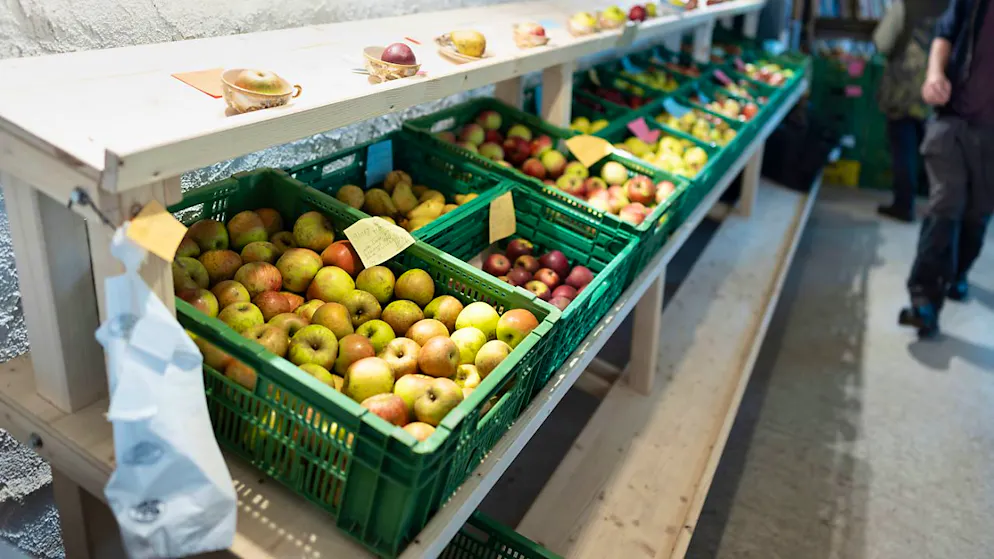 En octobre, des baisses de prix ont été observées pour les fruits et les légumes, notamment (archives).