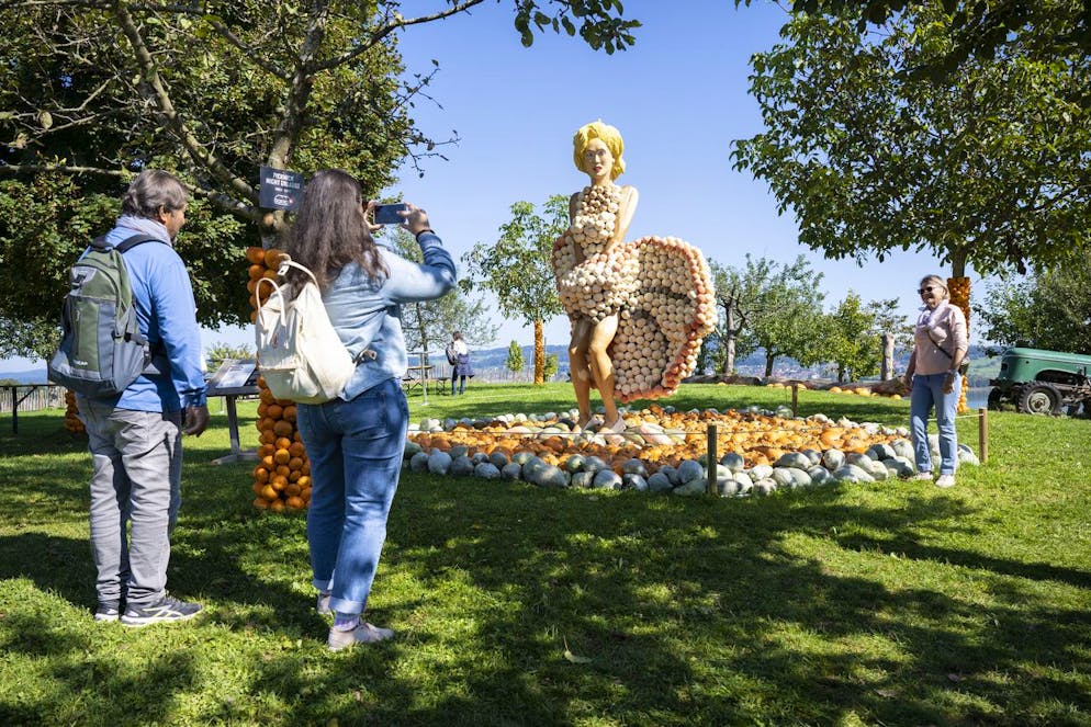 Im Vergleich zu 2021 gab es dieses Jahr 35 Prozent weniger Besucherinnen und Besucher auf der Juckerfarm in Seegräben ZH.