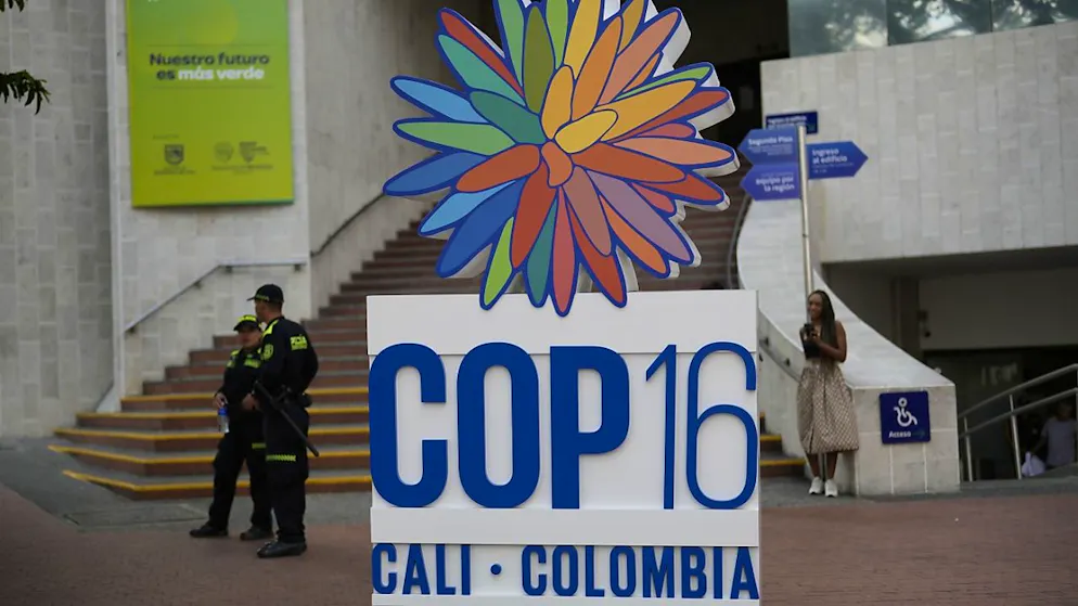 Le bras de fer de la COP16 concerne le financement de l'accord de Kunming-Montréal que les 196 pays membres de la convention sur la diversité biologique (CDB) ont adopté il y a deux ans (archives).