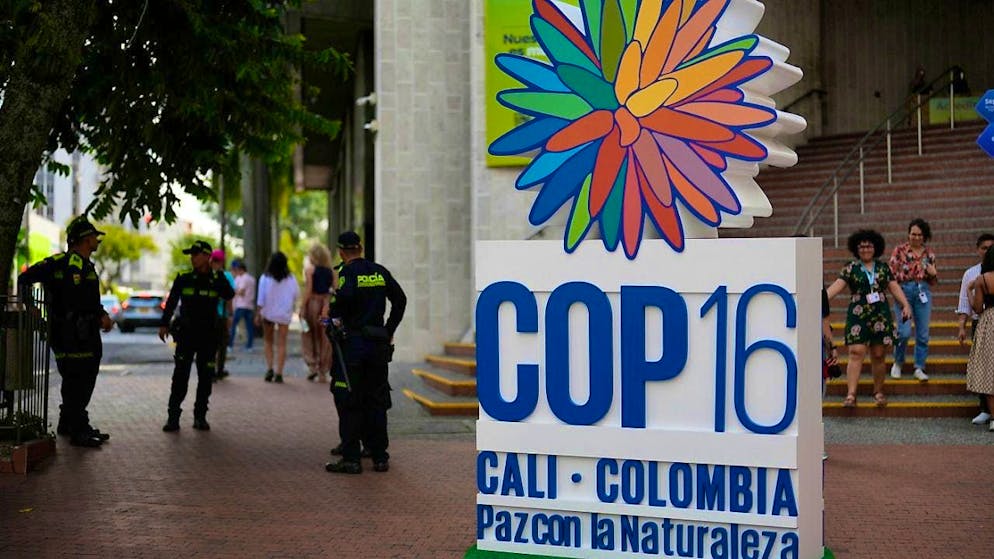 ARCHIVE - Police officers stand outside a hotel next to the logo of the 16th UN Conference on Biological Diversity (COP16) on biodiversity. Photo: Fernando Vergara/AP/dpa