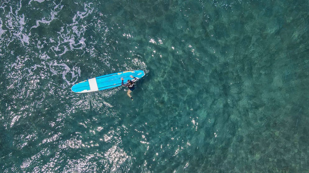 Horror-Attacke beim Wellenreiten. Hai beisst Surfer vor Maui Bein ab