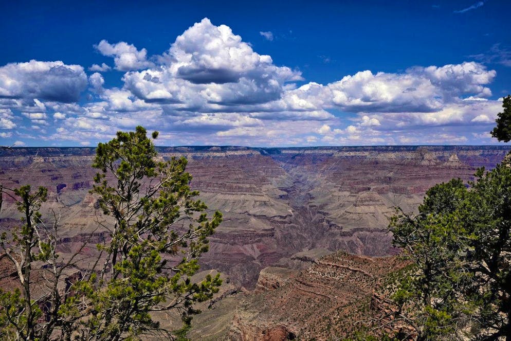 L'Arizona ospita il Grand Canyon, tra le altre meraviglie naturali. (Foto AP/Matt York)