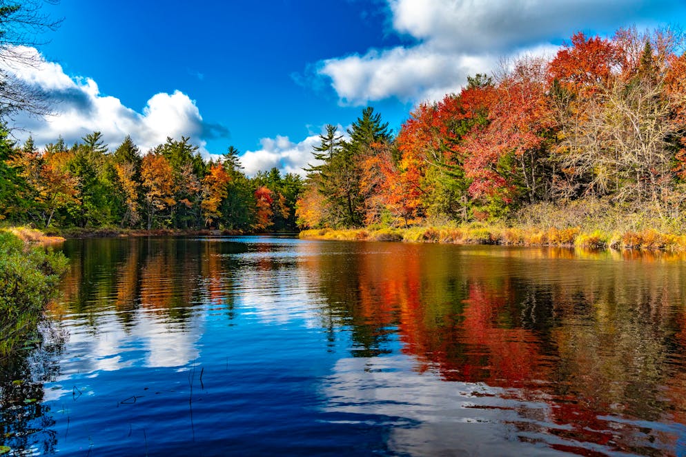 Unterwegs in der kanadischen Provinz: So schön ist Nova Scotia im Herbst. Das Wasser ist gesäumt mit Bäumen, die sich bunt verfärbt haben. 