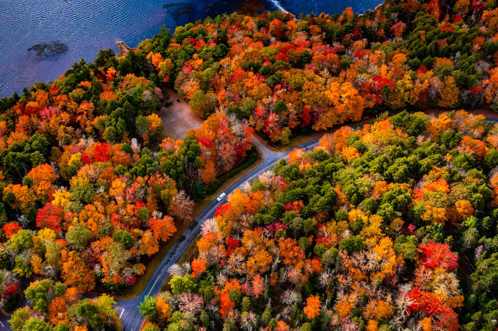 Unterwegs in der kanadischen Provinz: So schön ist Nova Scotia im Herbst. Das Allerbeste an einem Roadtrip durch das herbstliche Nova Scotia ist und bleibt jedoch die Aussicht auf die bunten Wälder.