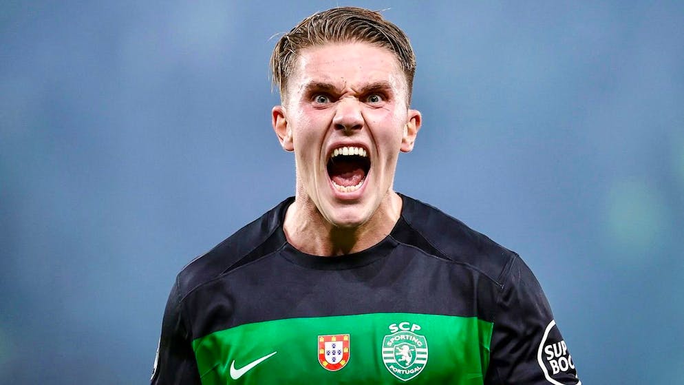 Ligue des champions. Manchester City et le Real Madrid sombrent ! Liverpool sans pitié