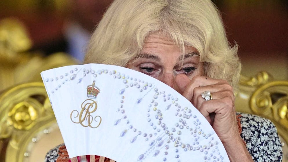 Sotto osservazione medica. Grande preoccupazione per Camilla, costretta a cancellare tutti gli impegni