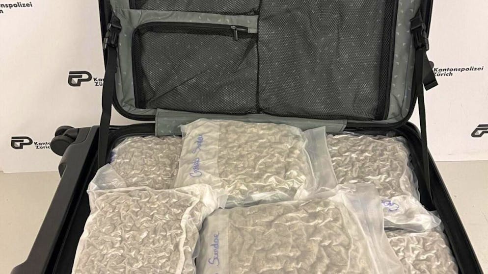 Gli stupefacenti erano imballati in sacchetti sottovuoto.