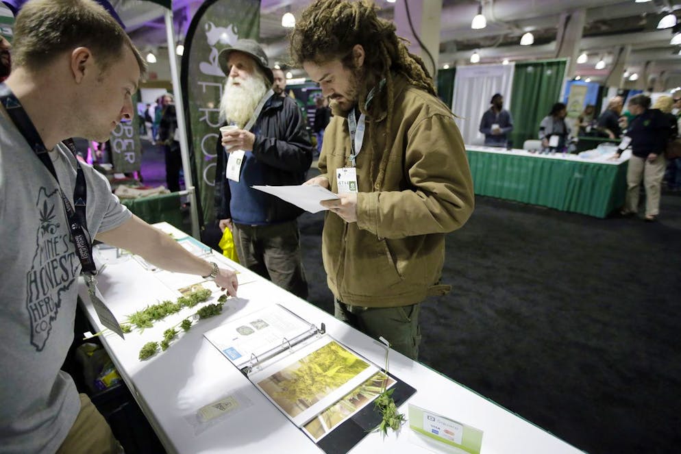 In vielen Bundesstaaten ist Marihuana auch als Genussmittel seit einigen Jahren legal.