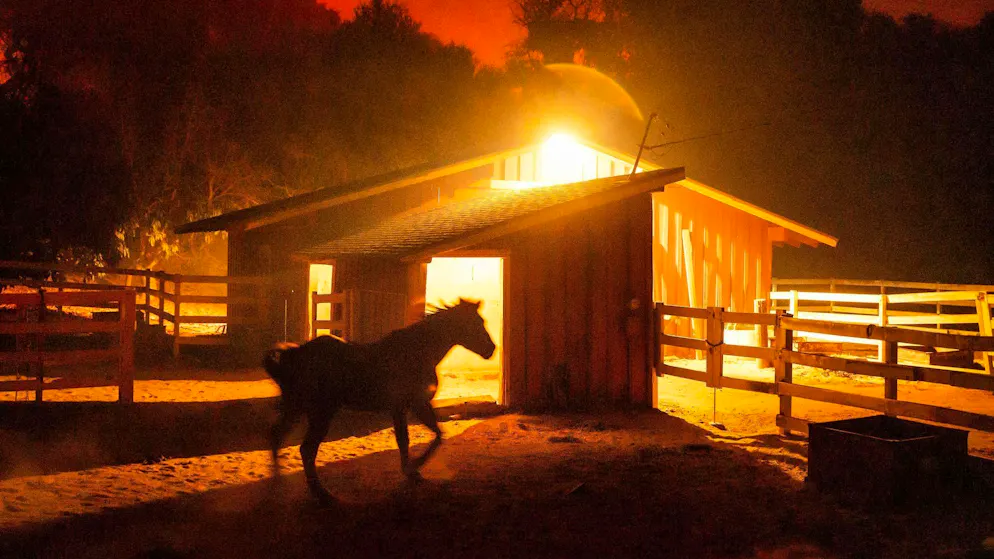 California wildfire spreads - homes destroyed - Gallery. The Mountain Fire in Southern California continues to spread.