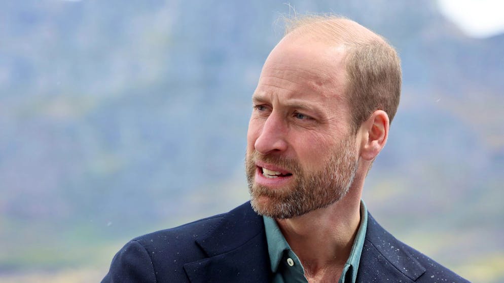 Zukünftige Pläne enthüllt. Prinz William plant Revolution der Monarchie