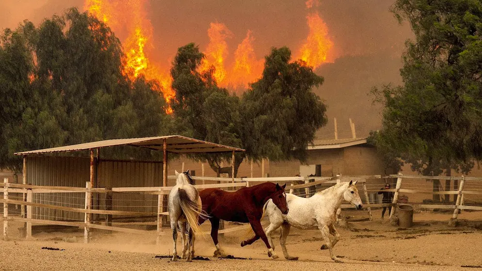 The "Mountain Fire" in Moorpark continues to spread. (November 7, 2024)