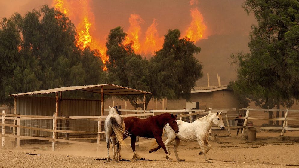 The “Mountain Fire” in Moorpark continues to expand. (November 7, 2024)