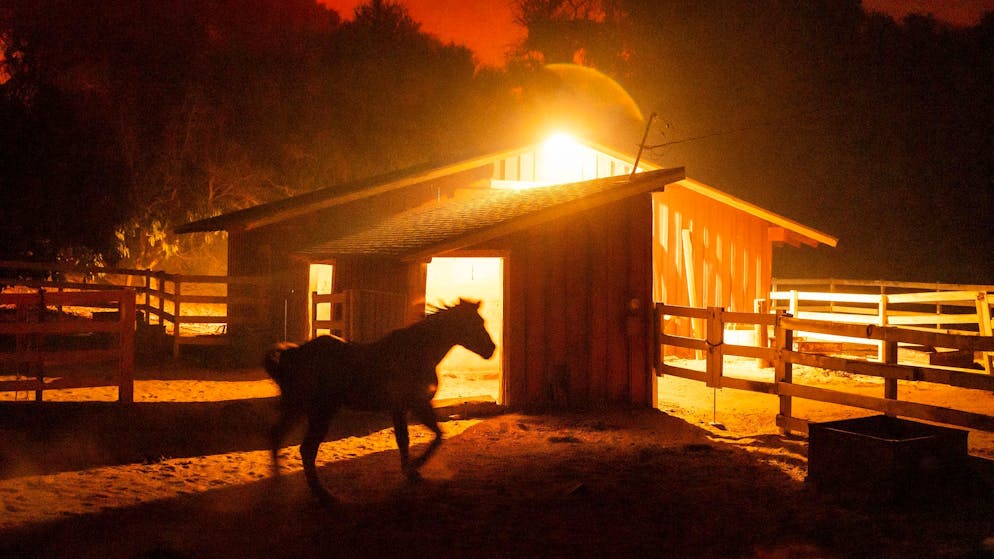 Waldbrand in Kalifornien breitet sich aus – Häuser zerstört - Gallery. The Mountain Fire in South California is known in itself.