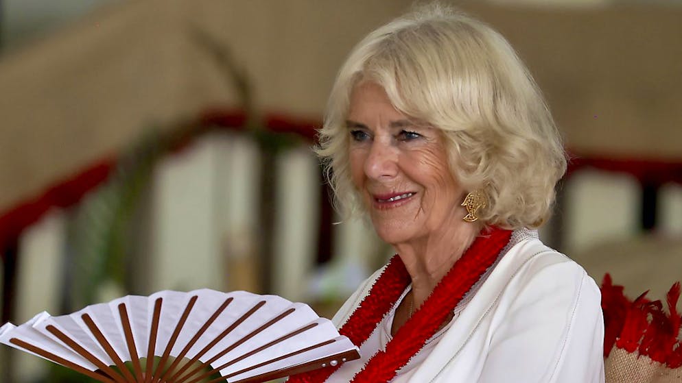 La consorte di Carlo aveva dovuto prendersi una pausa per un'infezione toracica.