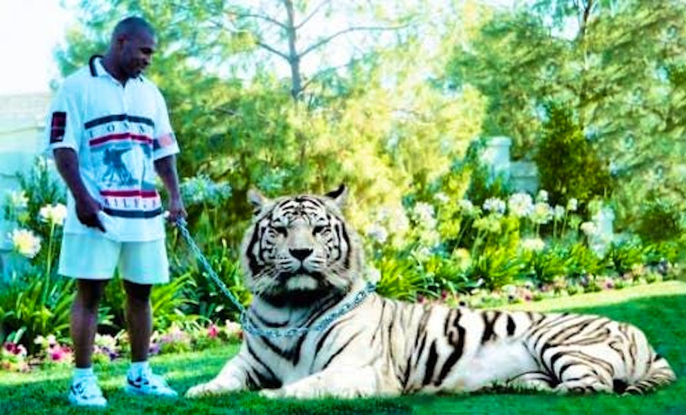 An unbeatable combination: Mike Tyson keeps a tiger on a leash.