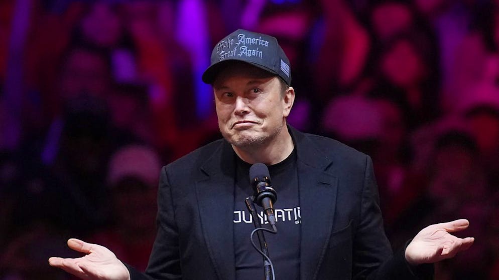 Stati Uniti. Musk è il nuovo capo del Dipartimento per l'efficienza governativa