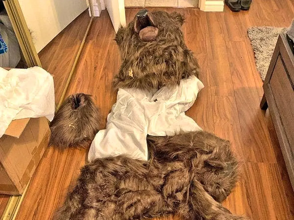A suspicious person dressed up in this bear costume.