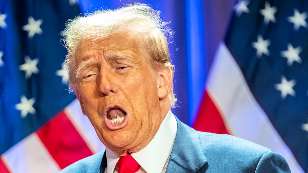 Donald Trump installe une galerie de personnages hauts en couleur au sommet du pouvoir américain.