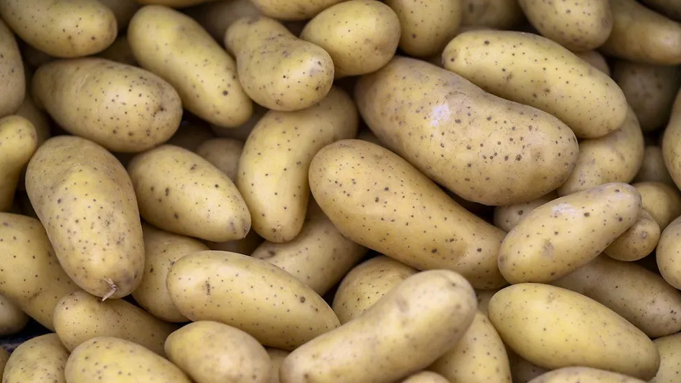 Most producer and import prices fell in October. However, potato prices rose. (archive picture)