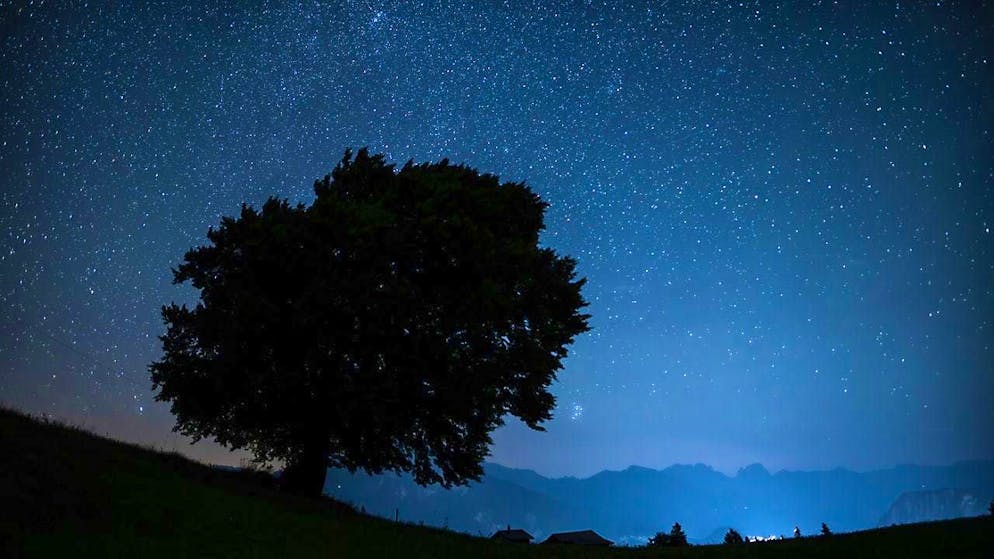 On the night of November 17-18, the maximum shooting star activity of the Leonids is expected.