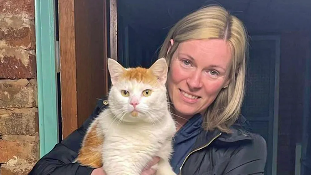 Come è possibile?. Gatto scomparso in Scozia ritrovato a quasi 500 km di distanza