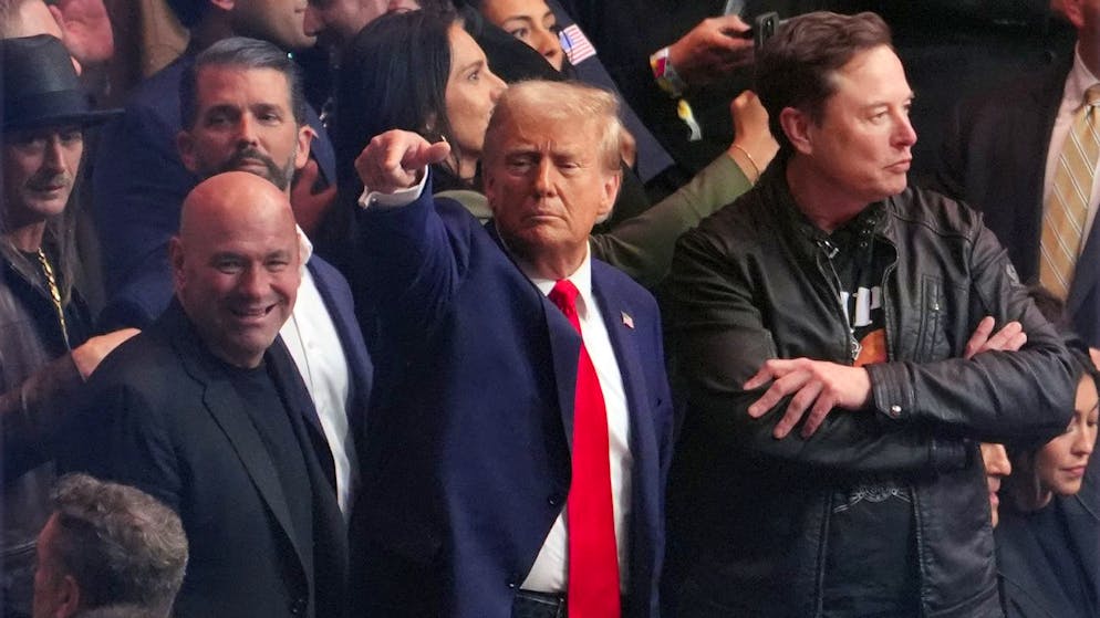 Wahlsieger Donald Trump (2.v.r.) und Elon Musk (r.) am frühen Sonntagmorgen bei einem MMA-Kampf im Madison Square Garden in New York.