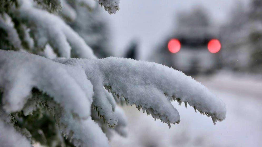 Snow-covered trees could also be seen in the lowlands this week. (symbolic image)