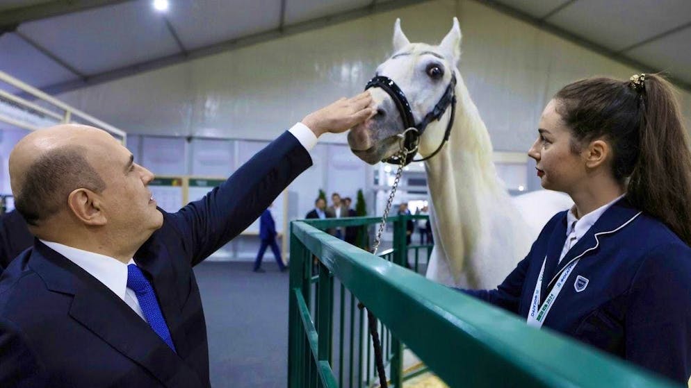 "Un profil extrêmement profond" : le Premier ministre russe Mikhaïl Michustin visite une exposition agricole à Moscou le 10 octobre.